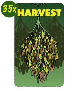harvest-kaarten-dealerscup