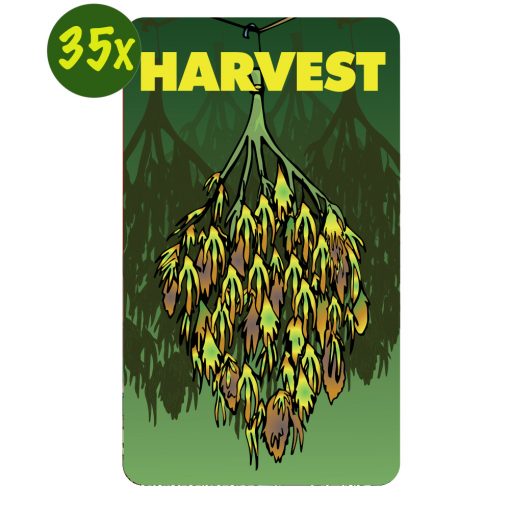 harvest-kaarten-dealerscup